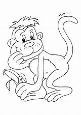 Monkey Coloring Pages Monkeys Trapeze Banana Parentune Animals Worksheets Books Categories sketch template