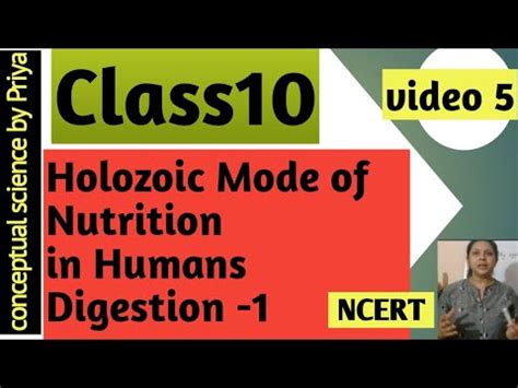 holozoic mode  nutrition  humanalimentary canaldigestionclassncert youtube