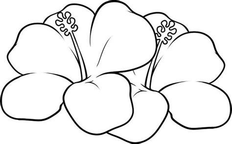 hawaiian flower coloring page netart