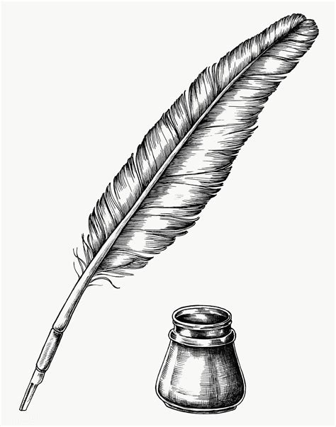 hand drawn quill    inkwell transparent png  image