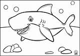 Creatures Shark Whale sketch template