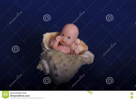 The Embryo In The Seashell Stock Image Image Of Naked