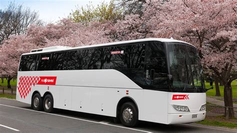 red bus buys tour bus company to capitalise on asian visitors nz