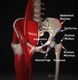Acute Hip Pain In Adults Images