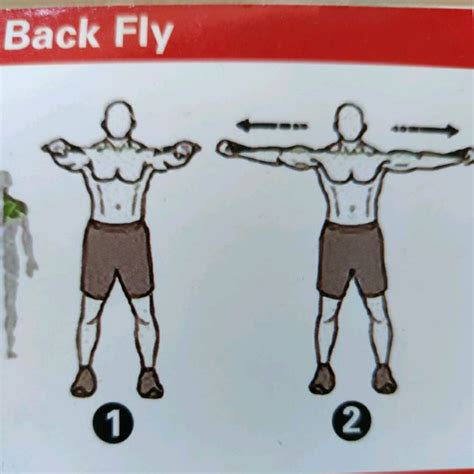 fly    exercise   skimble workout trainer