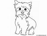 Coloring Yorkie Pages Easy Drawing Printable Kids sketch template