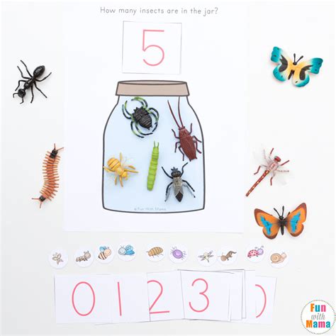 insects   jar spring counting activity fun  mama