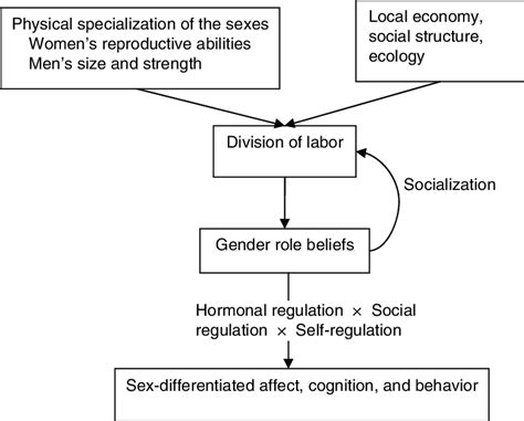 1 gender roles guide sex differences and similarities through biosocial