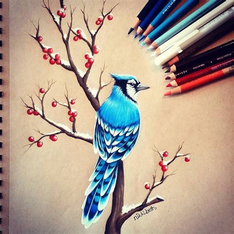 animal portrait drawings   styles colorful drawings bird