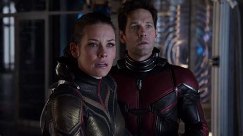 ant man and the wasp quantumania everything we know so far cinemablind