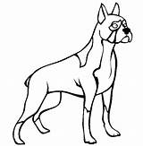 Boxer Dog Coloring Pages Drawing Standing Puppy Line Tall Police Clipart Bloodhound Print Colouring Printable Color Clipartmag Size Cliparts Clip sketch template