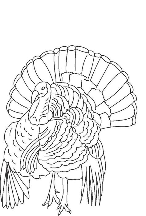 turkey coloring page printable