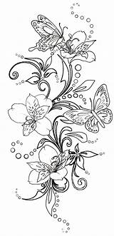 Butterfly Coloring Tattoo Flowers Pages Butterflies Flower Drawing Swirl Metacharis Deviantart Tattoos Adult Line Adults Drawings Papillon Color Fleur Coloriage sketch template