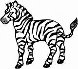 Zebra Coloring Pages Printable Animals Young sketch template