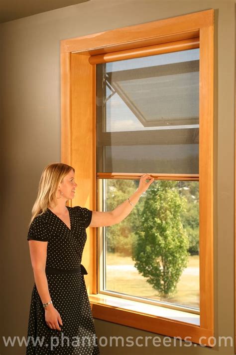 retractable screens  awning windows