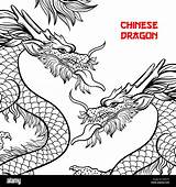 Draghi Drachen Contour Drawn Monochrome Stilizzati Cinesi Disegnata Contorno Illustrazioni sketch template