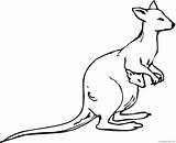 Coloring4free Kangaroo Coloring Pages Joey Related Posts sketch template