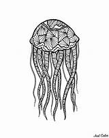 Coloring Medusa Zentangle Adult Pages Printable Jellyfish Adults Color Water Greek Kids Mythology Print Method Drawing Justcolor Box Meduse Coloriage sketch template