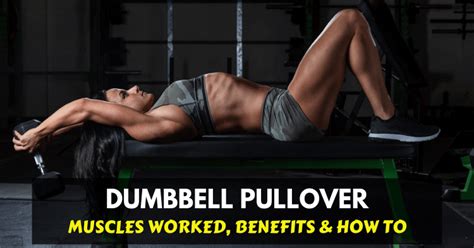 Dumbbell Pullover Muscles Worked Benefits And How To