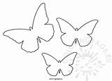 Butterfly Cut Template Borboleta Molde Borboletas Para Imprimir Moldes Desenho Em Papel Eu 3d Colorir Modelo Fazer Como Modelos Coloring sketch template
