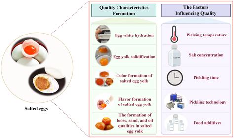 foods  full text  quality characteristics formation