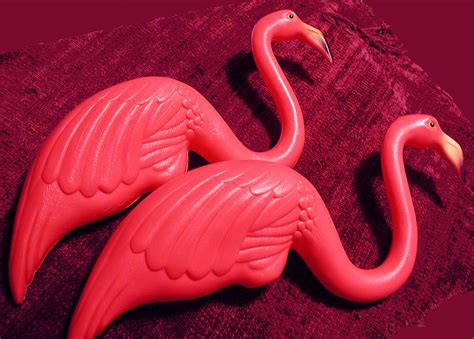 Plastic Pink Flamingo Xipixy82 痞客邦