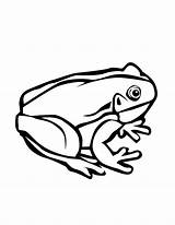 Frog Outline Tree Coloring Pages Clipart Printable Outlines Cliparts Panda Library Drawing Frogs Kids Clipartmag Swimming Clip Tattoo True Collection sketch template