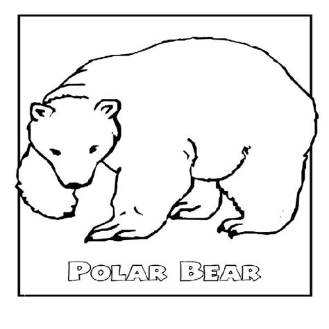 coloring pages  winter animals coloring pages trend polar bear
