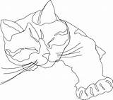 Coloring Cat Pages Drawing Line Outline sketch template