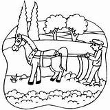 Plow Horse Horsedrawn Colouring Pages Farm Coloring Colori sketch template