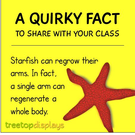 quirky fact  starfish  share   class  treetop