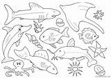 Peixes Tipos Coloriages Marinos Poisson Coloring4free Coin Sheets Animaux Recortables Coloriage Bajo Posters Animais Colorironline Gostar Desses sketch template