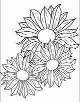 Marguerites Artherapie Line Coloriages Plantes Fantastique Fabuleux sketch template