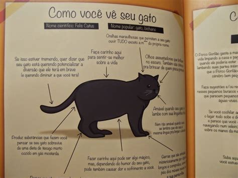 Blog Andressa Bruske Livro Como Saber Se Seu Gato Est Planejando 97600