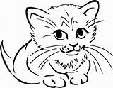 Cat Simple Face Drawing Coloring Easy Pages Getdrawings sketch template