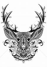 Deer Stag Tangles Zentangles Cerf Visuals Stockunlimited sketch template