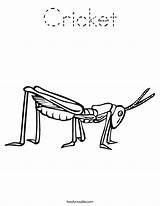 Grasshopper Cricket Gafanhoto Desenhos Pintarcolorir Noodle Twisty Colorir Clipartmag sketch template
