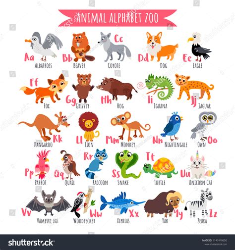 zoo alphabet az animal alphabet funny  shutterstock