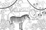 Safari Coloring Animals Sketch sketch template