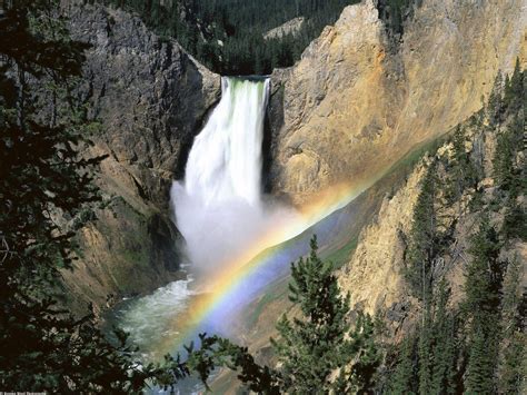 Yellowstone National Park Information And Facts Tiverton