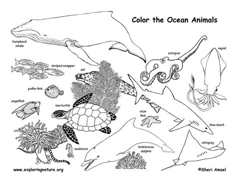animal habitats coloring pages