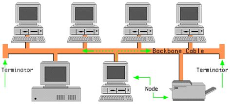 bus topology  bus topology  computer   connected  primary network computer