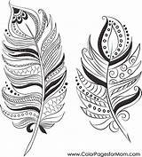 Feathers Coloring Pages Colorpagesformom sketch template