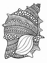 Mandalas Mandala Imprimir Seashell Zentangle Coloriage Muscheln Muschel Colorir Shells Malen Disney Feder Fichaslomahermosa Hippocampe Ausmalbilder Patterns Tiere Schriften Marinas sketch template