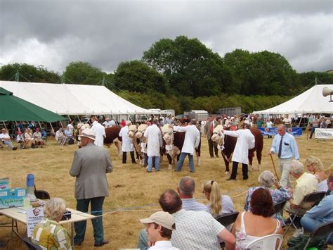 national hereford show  richard webb cc  sa geograph britain