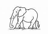 Elephant Coloring Cartoon Pages Color Kids sketch template