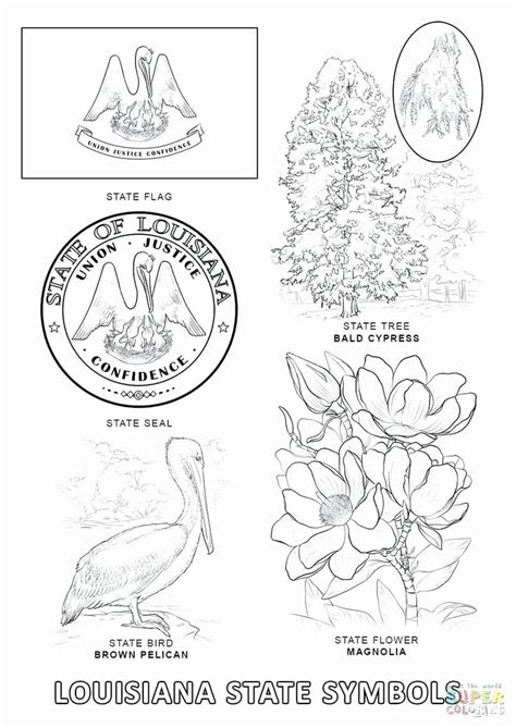 florida state coloring pages   flower coloring pages florida