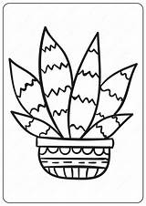 Cactus Coloringoo Prickly sketch template