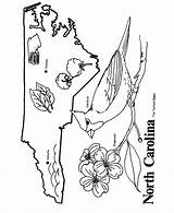 Carolina Coloring North State Pages Map Symbols Nc Unc Outline Printables Printable Kids Color Print Clipart Shape Usa States Choose sketch template
