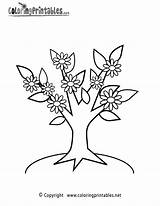 Tree Coloring Flowers Pages Printable Nature Coloringprintables Printables Gif sketch template